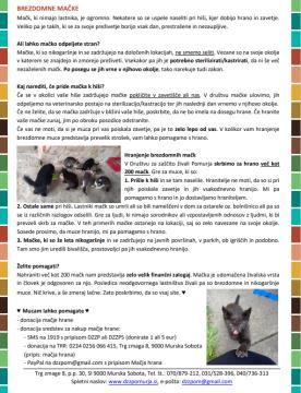 BREZDOME MAČKE_PRIPEVEK